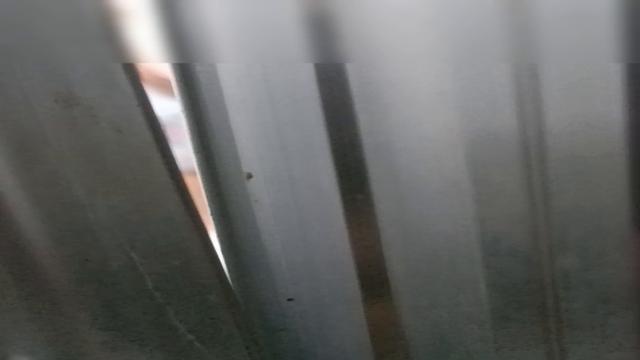 Manjando rola no banheiro 