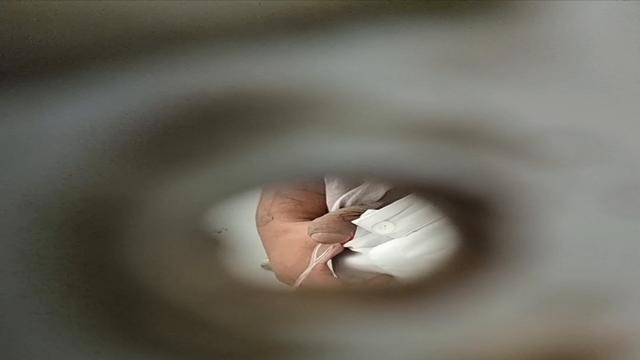 Spy