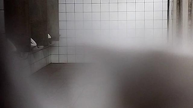 FLAGRAS and SEX in the Truck Drivers' Bathroom! (VID...