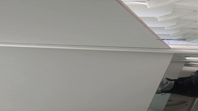 Tesão ver os pauzões