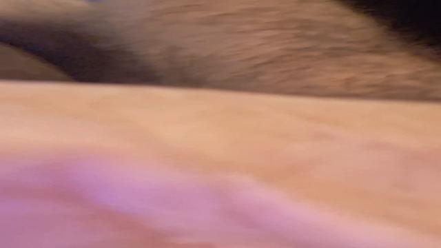 CAVALÃO MACHÃO REPRODUTOR MALHANDO NA ACADEMIA COM M...