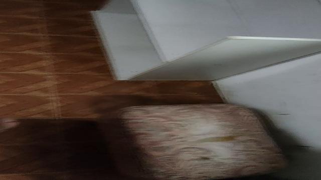 Exibindo a rola na janela 