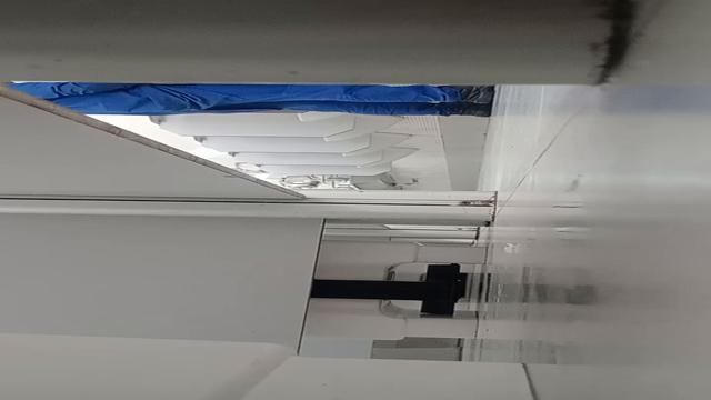 Esses machos são muito bom 