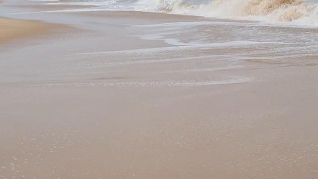 Live dia 14 .09.2022