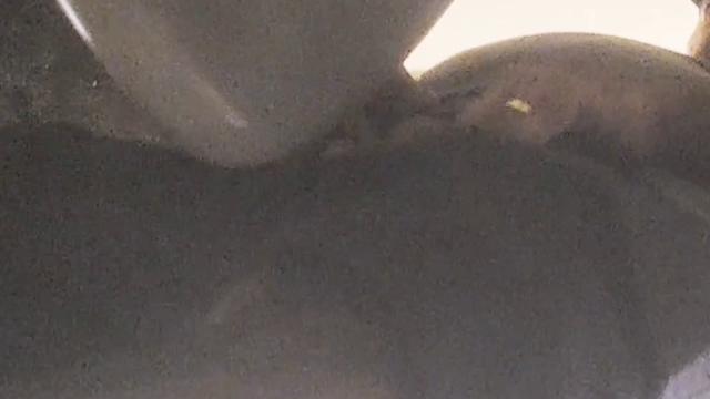 Mall Peepers Part 1