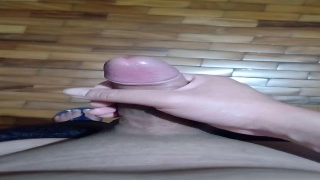 Meu pau