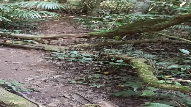 Vídeo novo , conheci um parque  novo e vai ter vídeo...