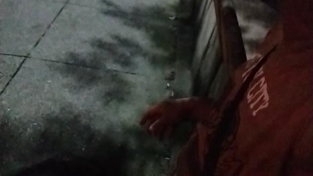 Mamando na passarela
