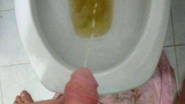 bom dia