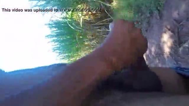 Sucking the hoodlum in the sugarcane field