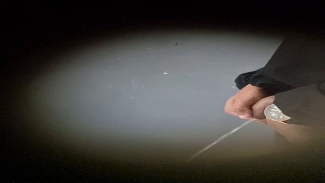 Spy