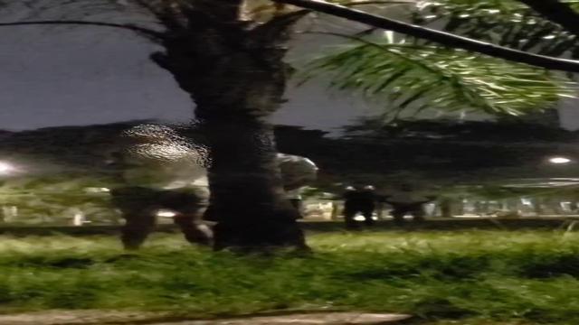 Putaria no meio do parque 