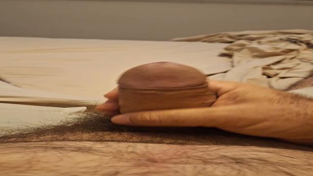 DESPERTI ASSIM NESTA MANHÃ DE DOMINGÃO 