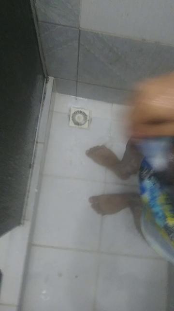 Hora do banho 