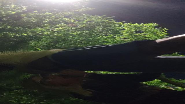 Teste Cdzinha Fitnes 