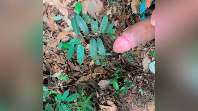 Eu e meu brother mijando na trilha??