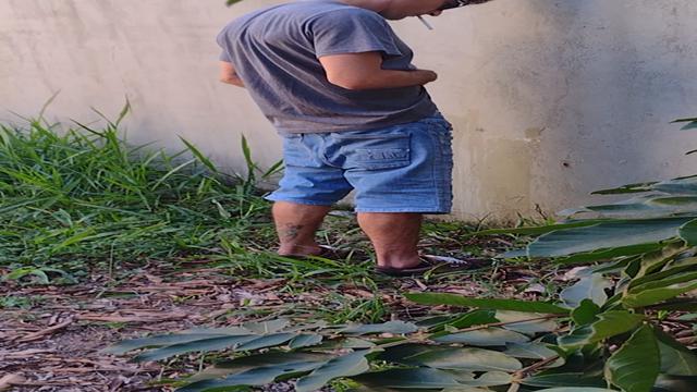 Pissing 