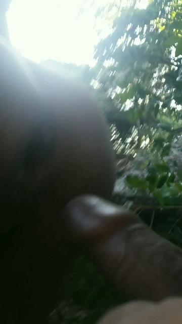 PUTARIA BARE NO MATO