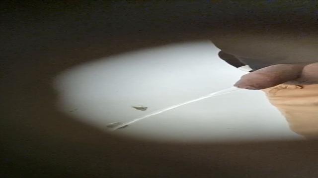 Spy