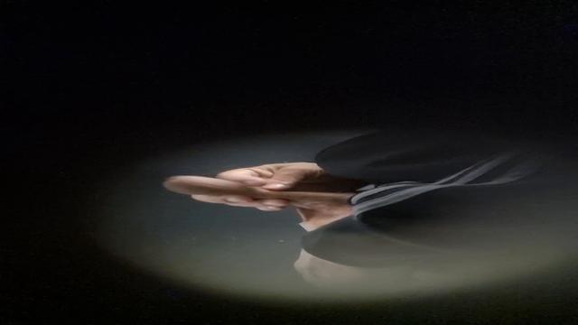 Spy