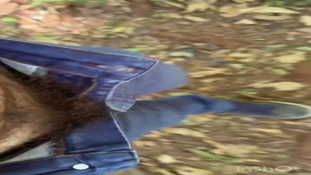 Ganhei mamada mas  o cara nao deixou gravar