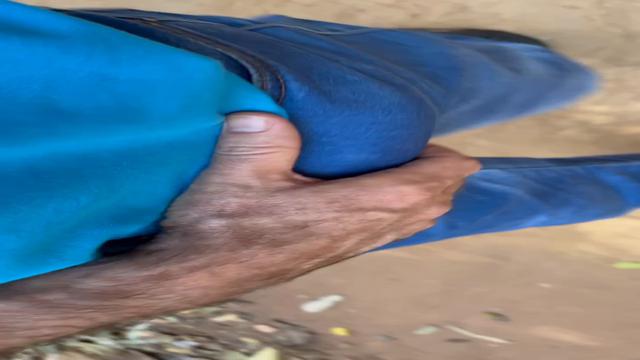 1 - vídeos caminhando com o pau pra fora da calça