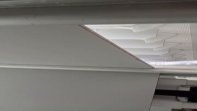 Delícia ver uns pauzudos 