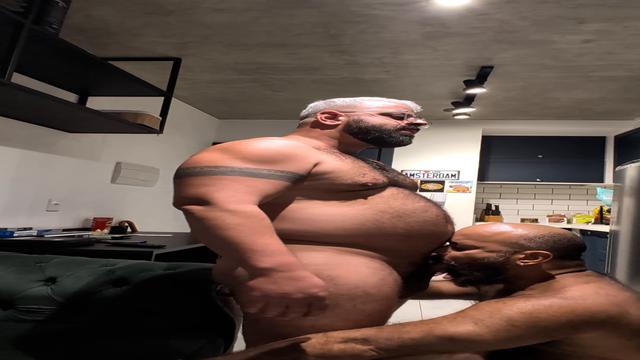 Ursão metedor