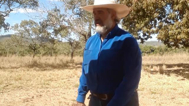 CAVALAO NO CAMPO