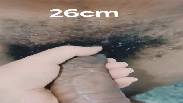O pintor 