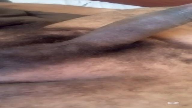 Maduro gordinho 51 anos pica gozadora batendo aquela...