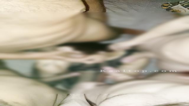 PARTE 1 GANGBANG COM 5 MACHOS