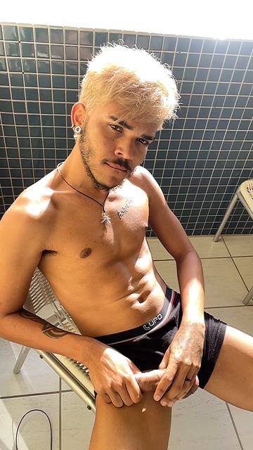 Exibindo a pica