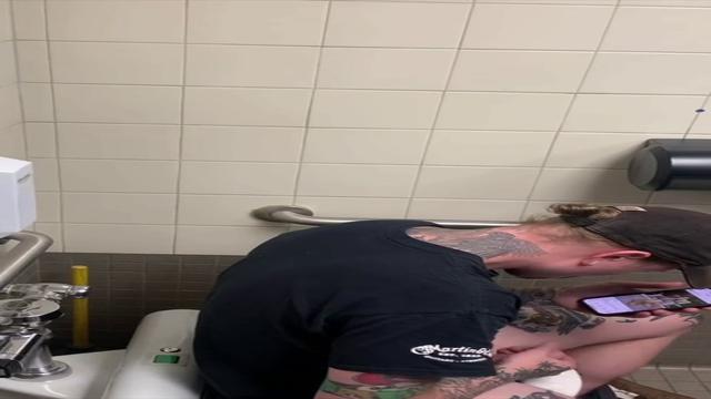 Gatinho batendo uma no banheiro enquanto assiste um ...