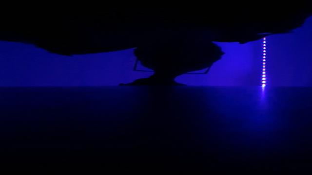 Mamando e dando no Glory Hole