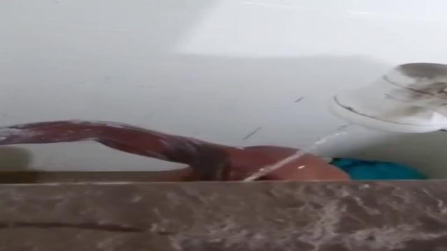SHOWEW #206