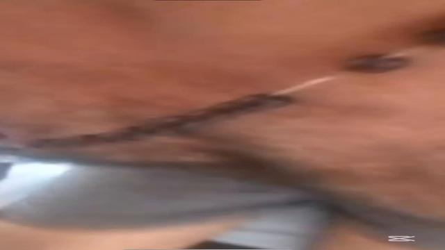 Maduro peludo rola boa 52 anos inédito em breve leit...