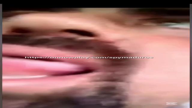 Peludo