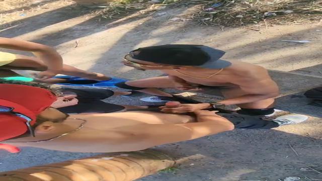 Broderagem de machos /