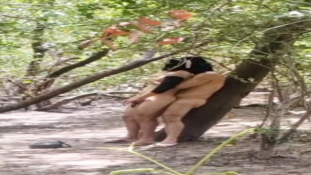 *From the trail to home. Part 2