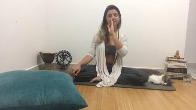 Aula de Meditação