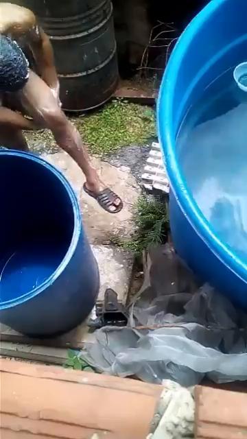 Espiando o vizinho roludo tomar banho no quintal