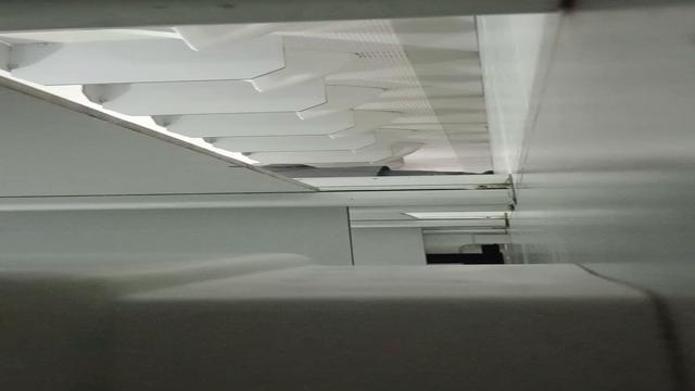 Cedo antes de começar a trabalhar olhando paus 