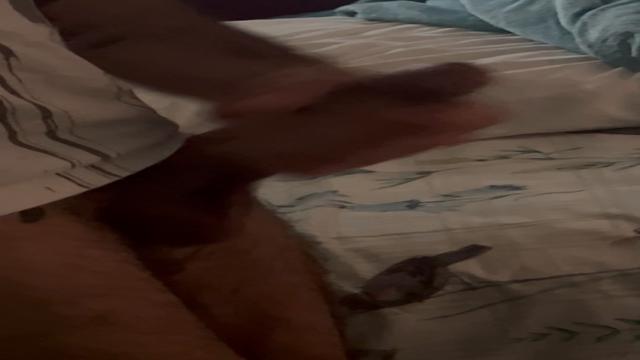 Preguiça de levantar! Vem deitar comigo!