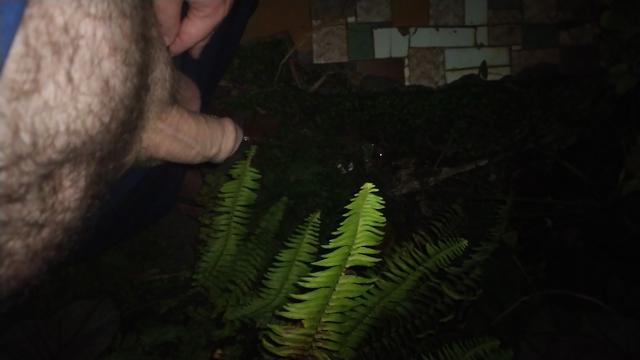 Tesão noturno 