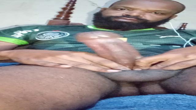 Palmeiras