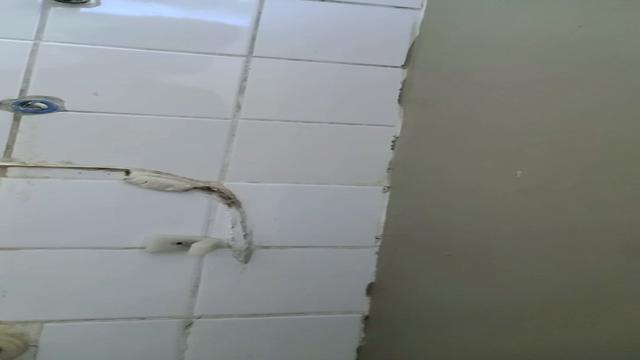 Banheiro lotado é bom assim com rola pra todo lado