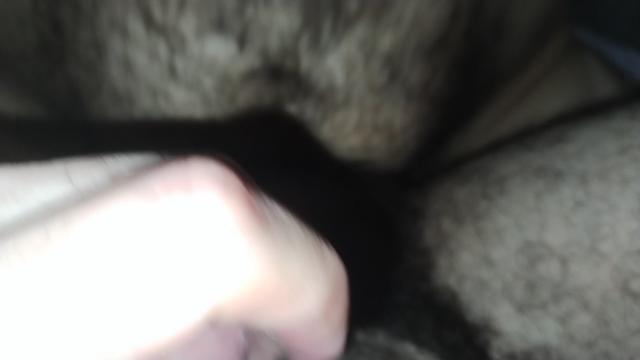 Dando para o ursinho.