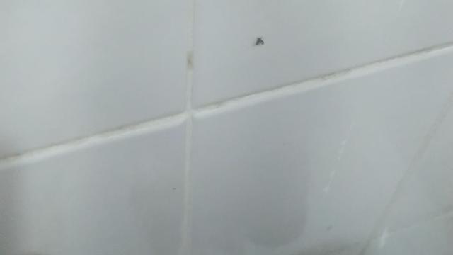 gozada no banho