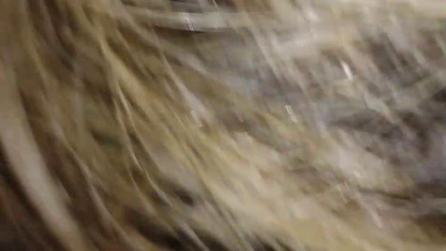 CHUPANDO A PICA DO MACHO NA RUA